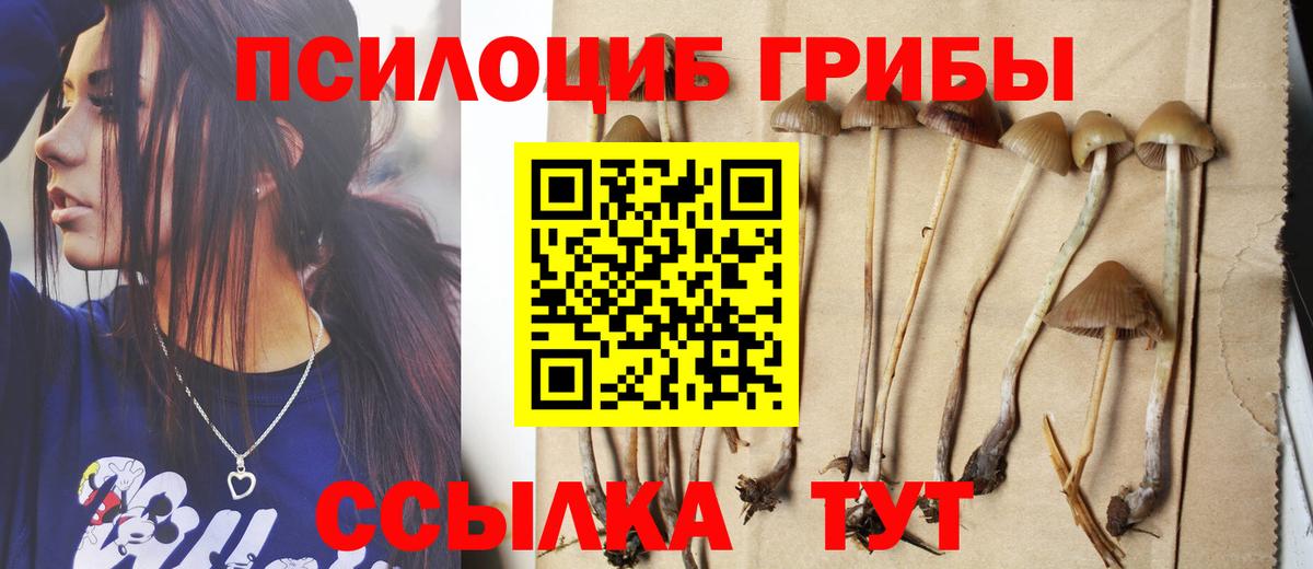 Стрежевой  Галлюциногенные грибы GOLDEN TEACHER  Вход с VPN 