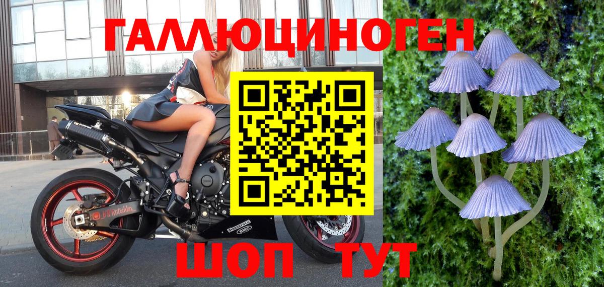 Псилоцибиновые грибы мухоморы Стрежевой